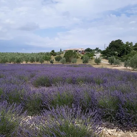 Maison Provence A Baudinard-sur-verdon Baudinard
